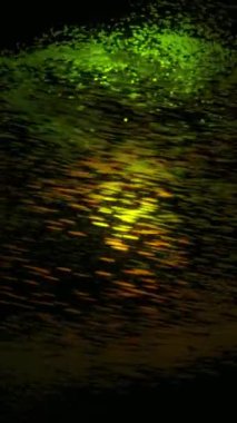 Dinamik renkli parçacıkların siyah zemin üzerinde üç boyutlu bir küre şeklinde organize hareketleri. Teknolojik arka plan, yeşil ve sarı atomlar daireler çiziyor..