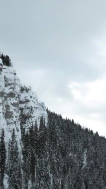 Kar, buz ve kürk ağaçlarıyla kaplı kış dağı uçurumları. Şarjör. Dondurucu kış doğası, hava manzarası