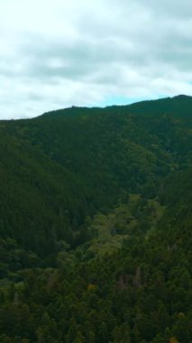 Orman yeşili vadisiyle güzel dağ manzarası. Şarjör. Dağlardaki yeşil ormanın yoğun bitkileri. Yoğun yeşil ormanları ve ekosistemi olan inanılmaz dağlar..