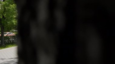 Bereketli ağaçlar ve canlı yeşilliklerle dolu dolambaçlı bir yolun sakin manzarası keşif ve maceraya davetiye çıkarıyor. Kırp