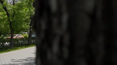 Gürcistan, Tiflis - 17 Haziran 2024: Bereketli yeşillik ve kaldırım manzaralı sakin bir şehir manzarası, doğa ve şehrin harmanlanması için mükemmel. Kırp