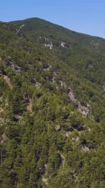 Güneşli yaz gününün ve yeşil dağ yamacının havadan görünüşü. Şarjör. Mavi gökyüzü arka planında kozalaklı ormanı olan güzel kayaların üzerinde uçuyor.