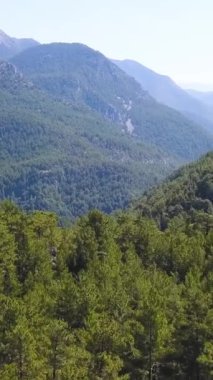 Orman tepeleri ve sisli havayla nefes kesici doğal manzara. Şarjör. Yeşil çimenler ve çalılarla kaplı sonbahar dağları