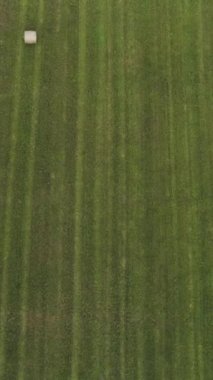 Taze yeşil tarlaları ve hasat sırasında kuru saman balyaları olan bir kırsal alan manzarası. İzlere en iyi bakış açısı tarım arazileri, tarım kavramı.