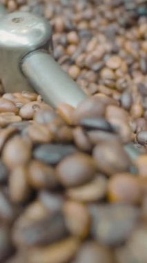 Kahve çekirdekleri karıştırılmış ve kızartılmış. Başla. Özel makine kahve çekirdeklerini termal işleme için karıştırıyor. Makinede kahve kızartıyorum..