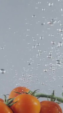 Açık gri duvar arka planında şeffaf suya düşen bir kiraz domates dalı. Başla. Yeşil saplı taze organik meyveler akvaryuma, markete, sağlıklı yiyeceğe sıçrıyor.