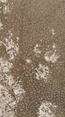 Derin çatlamış toprağı ve küçük bir su kaynağı olan kuru bir göl manzarası. Video kaydı. Yerdeki çatlaklar, hava değişimi ve küresel ısınma gibi alışılmadık yapılara sahip.