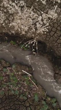 Botanik bahçesindeki taşların ve kuru çalıların arasından akan akarsu. Vuruldu. Kuru toprak boyunca akan hızlı akan dağlık bir nehrin yukarıdan görünüşü