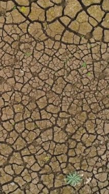Dünyanın kurak yüzeyinin en üst görüntüsü. Vuruldu. Çamur toprak ve seyrek otlarla ıssız bir arazi. Çatlaklı kuru toprağın desenli yüzeyi.