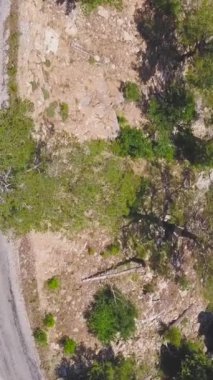 Dağlarda ve ağaçlık alanda yılan gibi. Şarjör. Güneşli bir günde ağaçlık dağların arasından geçen kavisli yolun en üst görüntüsü. Yazın dağlarda yılan yolu kıvrımlarını takip et.