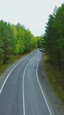 Ormanda yolun üzerinden uçmak. Görüntü. Kırsal alanda yaz yeşili bitki örtüsü