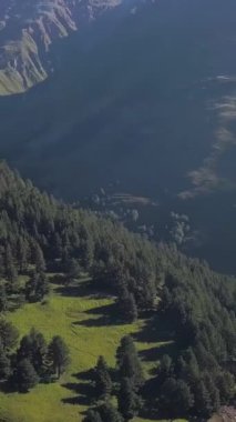Dağlardaki kayalık yamaçlı vadi manzarası. Şarjör. Güzel dağ manzarası kayalık yamaçlarla nefes kesici. Yeşil kozalaklı ormanlı dağ vadisi kayalık tepelerin manzarasını sunar.