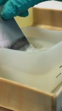 Laboratuvar araştırması kavramı. Şarjör. Eldivenler içinde ellerinizi kapatın. İnce metal plakayı kimyasal sıvı maddeye koyun.