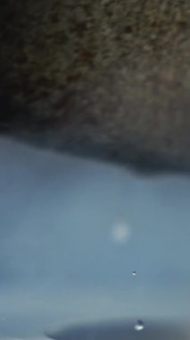 Kovadan sıcak su dökülüyor. Stok görüntüleri. Küçük kovadan dökülen su püskürtüsünün yakın çekimi. Sıcak temiz su kepçeden buharlı metal konteynıra dökülür..