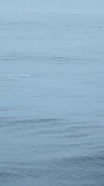 Yunus yüzgeçleriyle güzel bir deniz yüzeyi. Şarjör. Bulutlu havada yüzen yunuslarla birlikte açık okyanusun yüzeyinde. Mavi denizin yüzeyinde yüzen yunuslar yüzüyor..