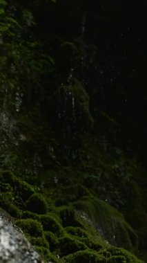 Düşen su damlalarıyla yosunlu dağ yamacı. Yaratıcı. Karanlık, büyük bir mağaraya girin.