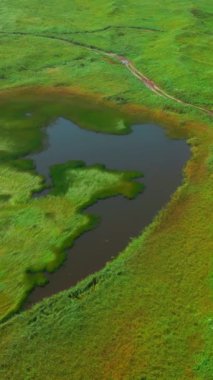 Baharda yeşil tarla üzerinde küçük bir gölet. Şarjör. Yeşil çayır ve küçük göl havası