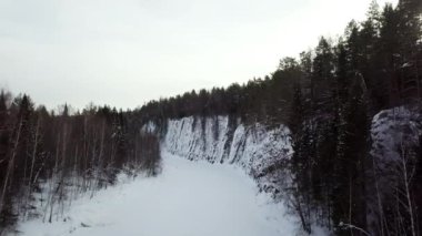 Güzel, sakin bir kış manzarası, zarif, karlı bir yamaçla birlikte zarif, yeşil ağaçlar sergiliyor. Menkul Kıymetler