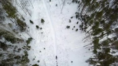 Hava manzarası, kıvrımlı bir yolu olan karlı bir ormanı gösteriyor. Kışları sakin ve dingin kışı gösteriyor. Menkul Kıymetler