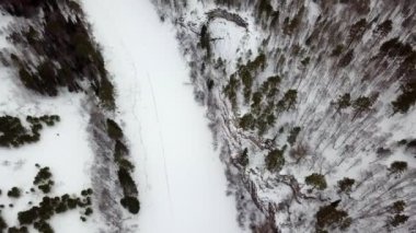 Göz kamaştırıcı bir hava görüntüsü karlı bir ormanı ve kışın akan dolambaçlı bir nehri gösteriyor. Menkul Kıymetler