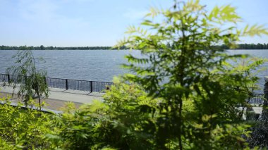 Güneşli bir günde dingin ve huzurlu bir nehir kenarı manzarası canlı yapraklar ve sakin sular sergiliyor. Kırp