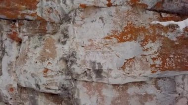 Yıpranmış bir kaya yüzeyinin büyüleyici yakın görüntüsü, karmaşık dokular ve canlı liken desenleri sergiliyor. Kırp