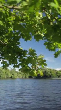 Bu sakin videoda yemyeşil yemyeşil bir göl, su üzerinde bir köprü ve yakınlarda büyüleyici bir ev sergileniyor.