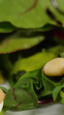 Taze yeşillik, peynir, fındık ve güzel süslerden yapılmış sağlıklı bir yemek seçimi için canlı bir salatanın tadını çıkarın.