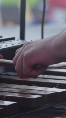 Yakın çekim, canlı bir açık hava etkinliğinde ksilofonu enerjik bir şekilde çalan bir müzisyenin elini ortaya çıkarır. Kırp