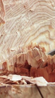 Hassasiyetle ustalıkla oyulmuş, olağanüstü bir işçilik sergileyen karmaşık ahşap tanecikleri. Menkul Kıymetler