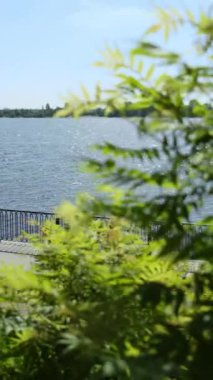 Güneşli bir günde dingin ve huzurlu bir nehir kenarı manzarası canlı yapraklar ve sakin sular sergiliyor. Kırp