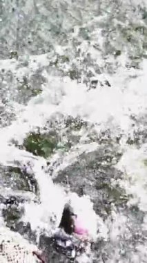 Sakin sularda dinamik ve büyüleyici bir sıçrama, güzel bir şekilde canlı doğa hareketi. Menkul Kıymetler