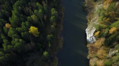 Çarpıcı hava perspektifi, dolambaçlı bir nehrin yanında yer alan sakin ve sakin bir ormanı gözler önüne seriyor. Menkul Kıymetler
