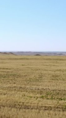 Sonsuz altın çayırlar ufuk çizgisine kadar uzanır yukarıdaki engellenmemiş, berrak mavi gökyüzünün altında. Menkul Kıymetler