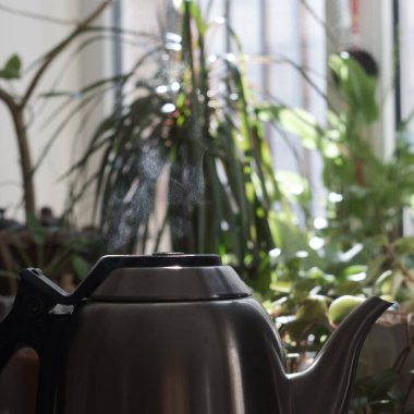Etrafı canlı, yemyeşil bitkilerle ve ılık doğal ışıkla çevrili, güzel stil bir çaydanlık buhar yayıyor.