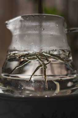 Bitki elementleriyle dolu berrak cam bir sürahi ferahlatıcı su dingin ve sakin bir atmosfer yaratır.