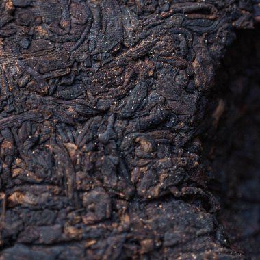 A detailed view showcasing the dark and textured surface of charred wood, which beautifully exhibits natural patterns clipart