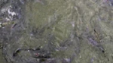 Bu görüntü, eşsiz desenlerini ve renklerini vurgulayan, dokulu doğal kayanın detaylı bir yakın çekimini sunuyor. Menkul Kıymetler