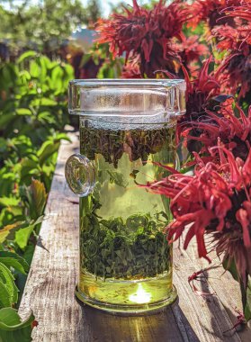 Canlı ve aromatik bir bitkisel çay, yeşillikle dolu güzel bir bahçe ortamında demleniyor.