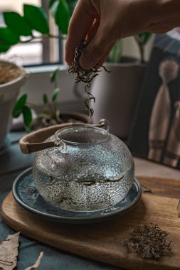 Bir el, güzel bir çaydanlığa taze otlar ekliyor. Sakinleştirici bir çay saati deneyimi yaratmak için mükemmel.