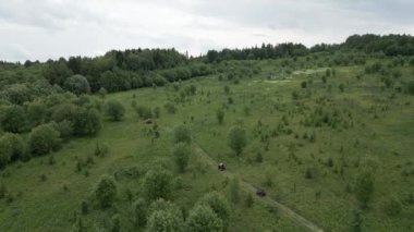 Ağaçları ve dolambaçlı yolları gösteren yemyeşil bir manzaranın nefes kesici ve güzel hava manzarasının tadını çıkarın. Kırp