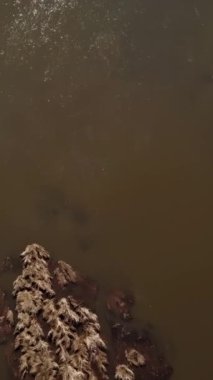 Hava görüntüsü, çamurlu bir nehri karlı bir arazide sarmalayıp gerçek güzellikleri gösteriyor. Kırp