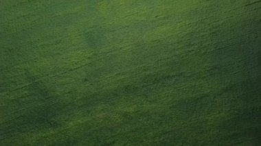 Yeşillik yeşil bir alan, doğanın özündeki çarpıcı güzelliği gösteren güzel bir şekilde görülür. Kırp