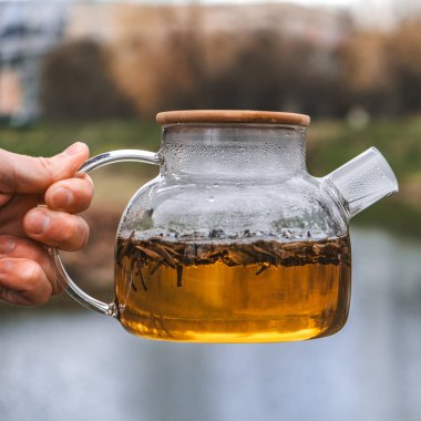 Nefis bir cam çaydanlık, aromatik bitki çayıyla dolu, sakin bir açık havada güzelce sergileniyor.