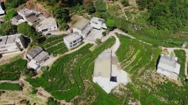 Barışçıl ve uyumlu bir hava manzarasında yemyeşil alanlar arasında yuva yapmış çeşitli tarım alanları ve binalar sergileniyor. Medya