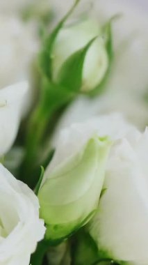 Muhteşem bir buket zarif beyaz gül ve güzel tomurcuklar, düğünler ve neşeli kutlamalar için mükemmel. Medya