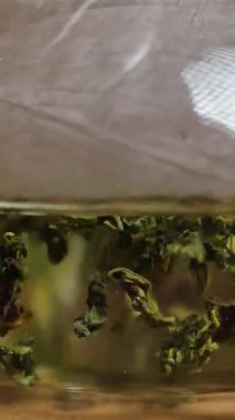 Bitkisel çayın çok güzel demlendiği detaylı bir yakın plan, cam bir demlikteki canlı yeşil yaprakları vurguluyor. Medya