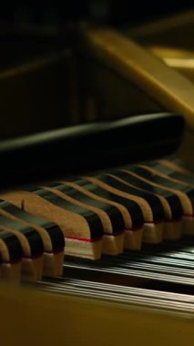 Tarafsız renklerde çalan kuyruklu piyano çekiçlerini kapatın. Medya. Piyanonun sönümleyici mekanizması pedala basıyor.