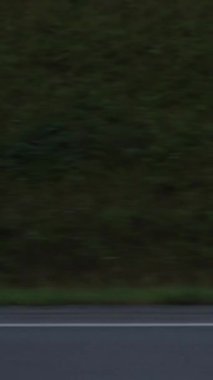 Yazın orman boyunca yol boyunca hareket halindeki arabanın yan camından bakın. Görüntü. Turizm ve seyahat, seyahat konsepti. Bulutlu hava