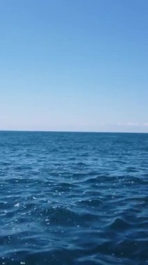 Denizde kano. Teknede kürek çeken bir çift. Stok görüntüleri. Aktif su tatiline çıkmış genç bir çift kano ya da kanoyla deniz dalgalarında yüzüyor. Yaz ve mavi sular